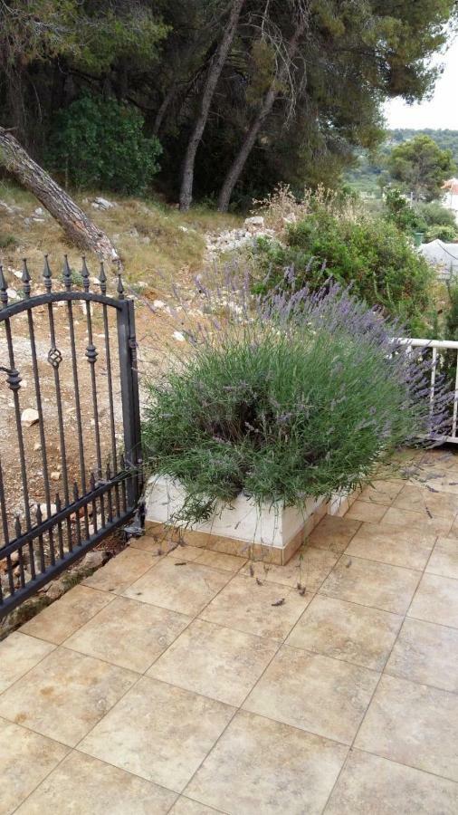 Villa Lizzi トロギール エクステリア 写真